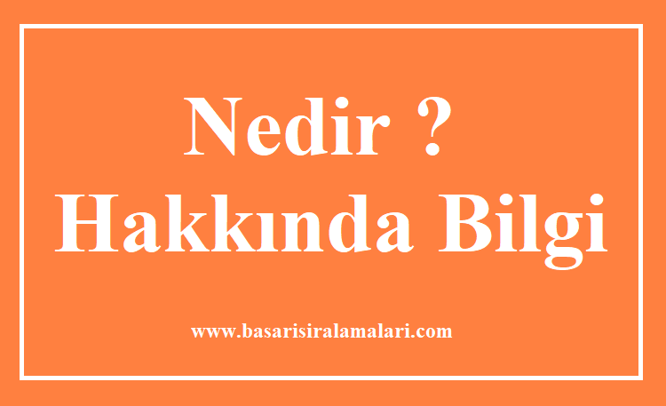 4. Sınıf Türkçe Eş Anlamlı Kelimeler Listesi