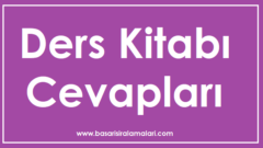 8. Sınıf Matematik Ders Kitabı Cevapları Sayfa 306-307-308-309-310-311-312-313-314